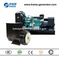 280kw low rpm Generator head Alternator with SX440 AVR